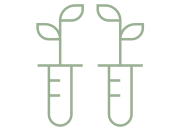 Extrato de Jaborandi